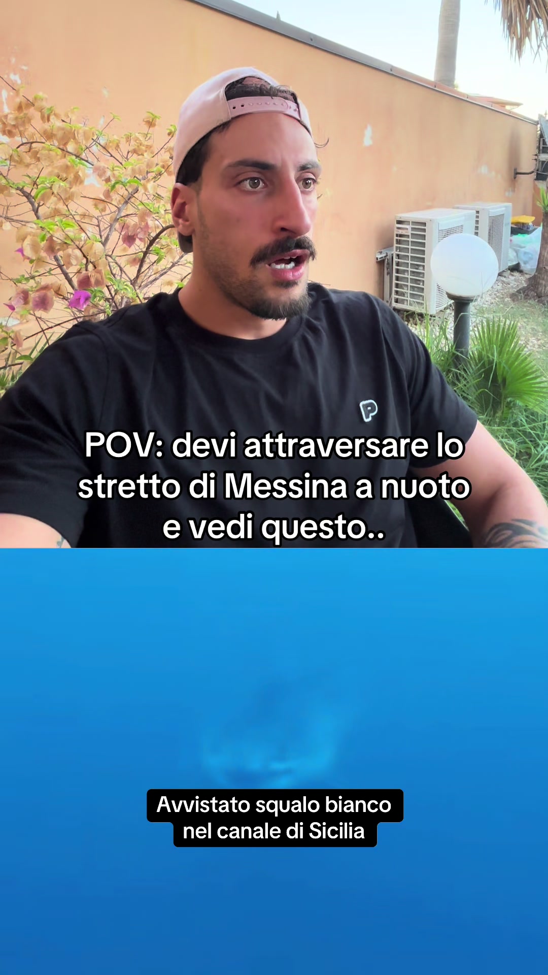 @Gianluca Mollo