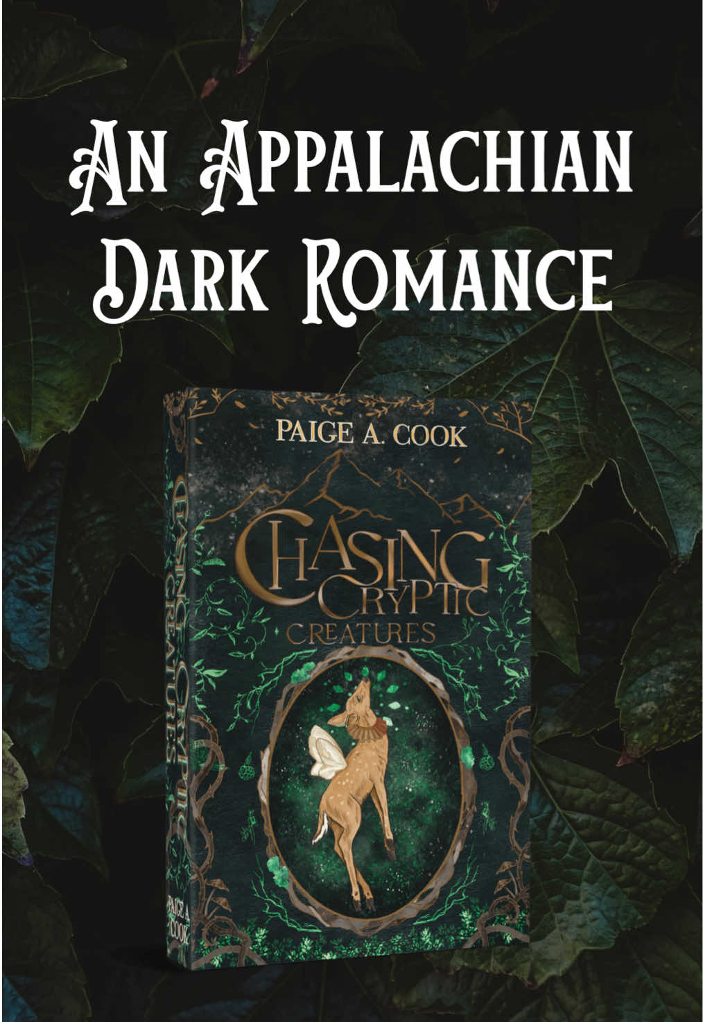 @Author Paige A. Cook