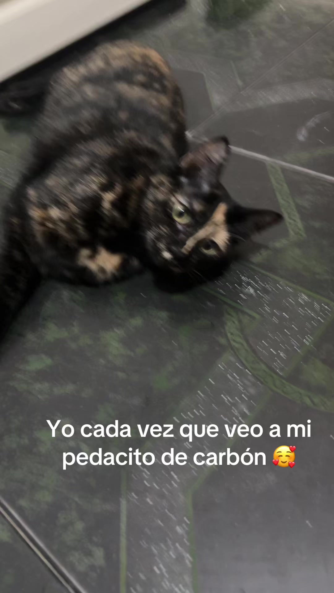 @Juliana06