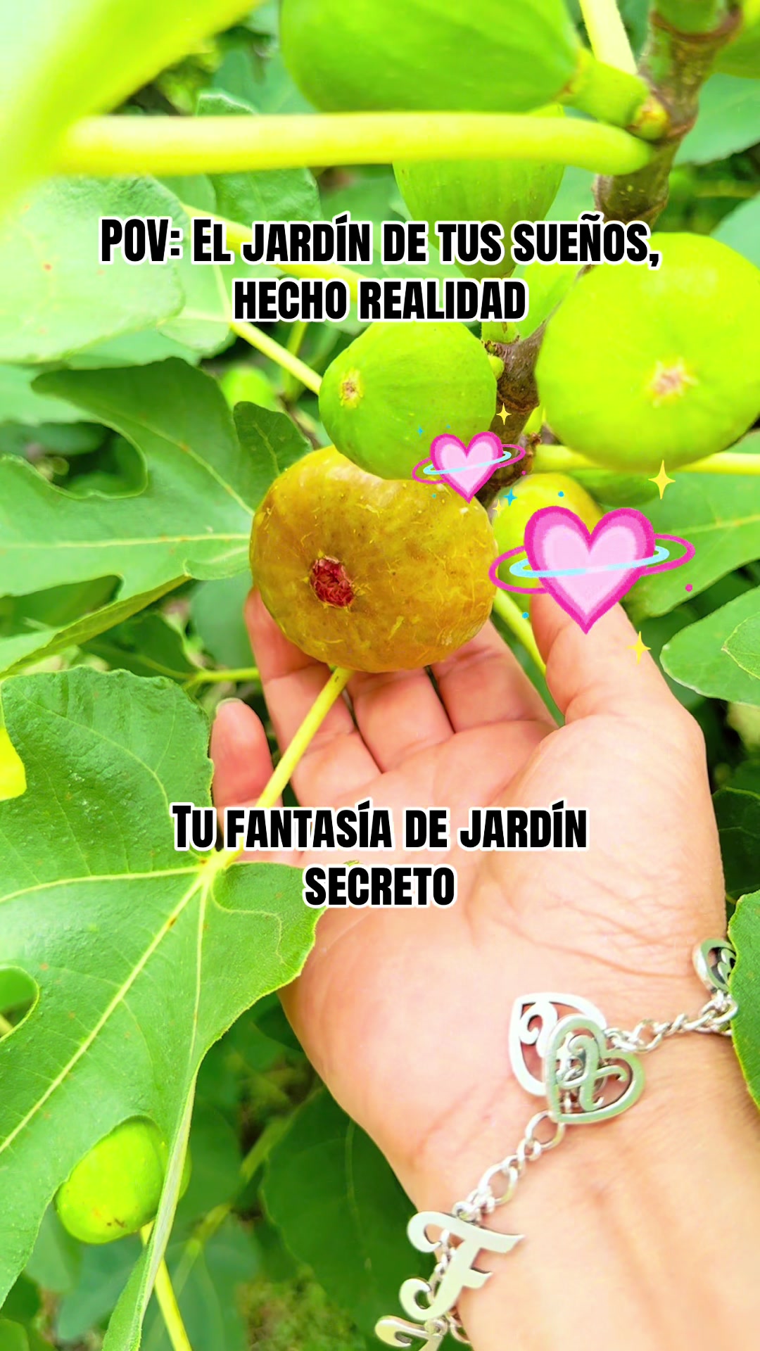 @SA_bxs