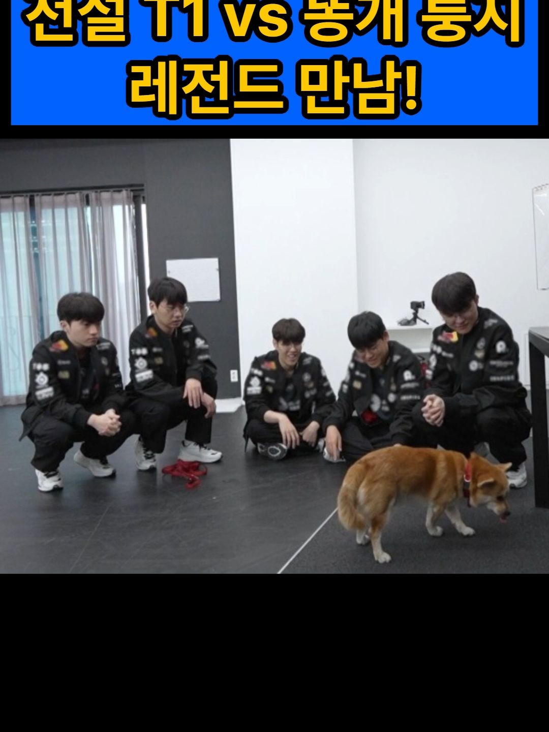 @스타 쇼츠