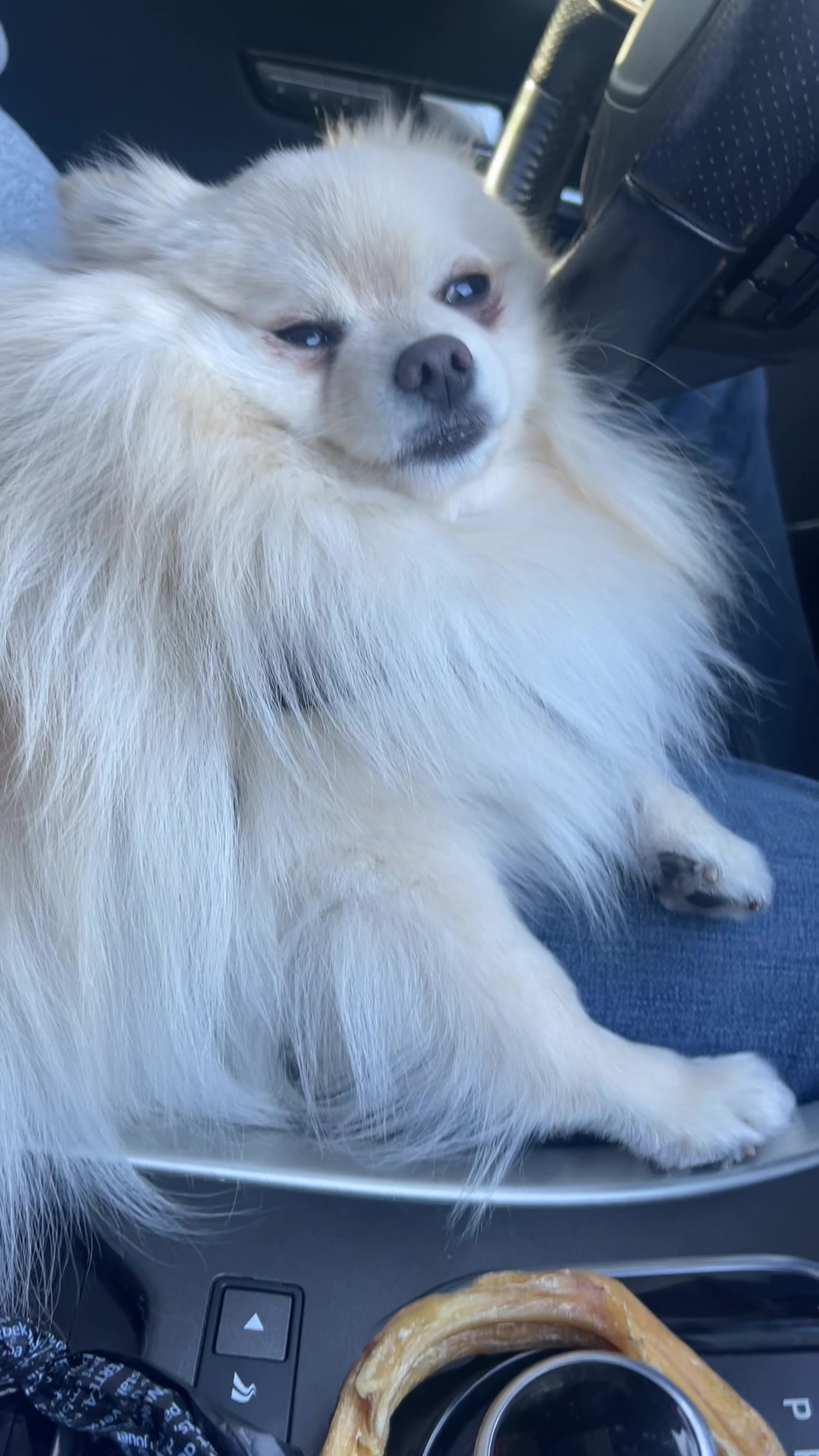 @beingmilothepom