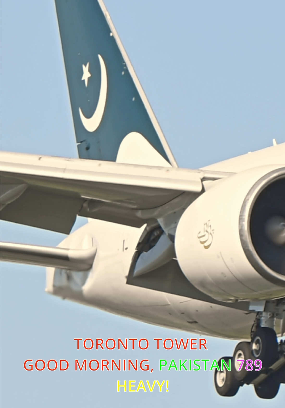 @plane_beaveryyz