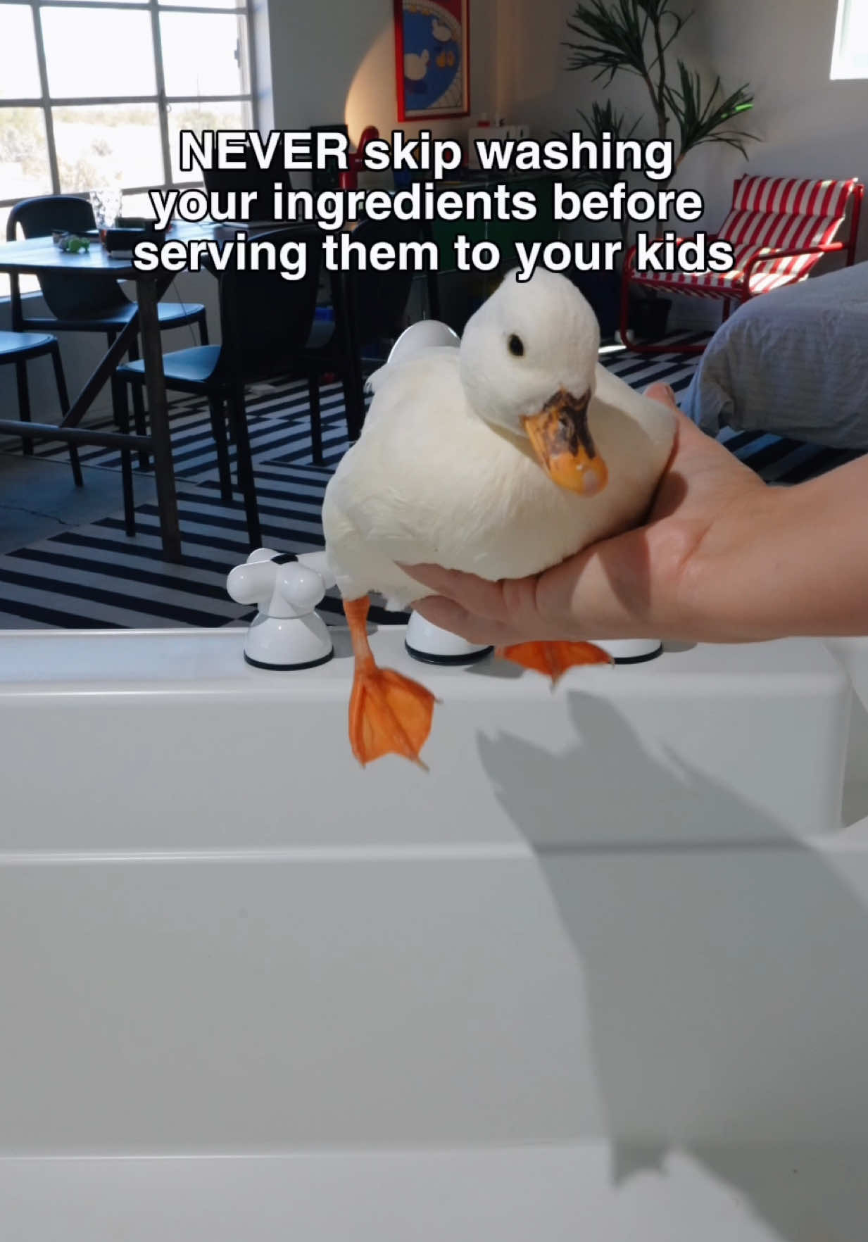 @ducks_in_space🪿🪿💦