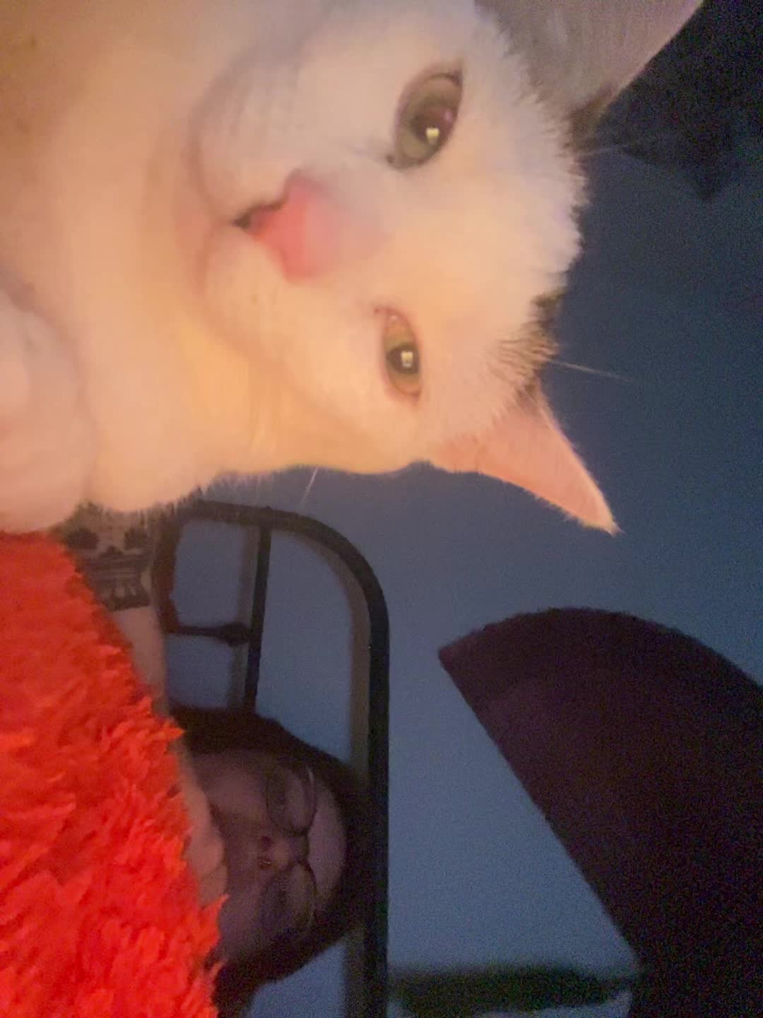 @(.)(.)
