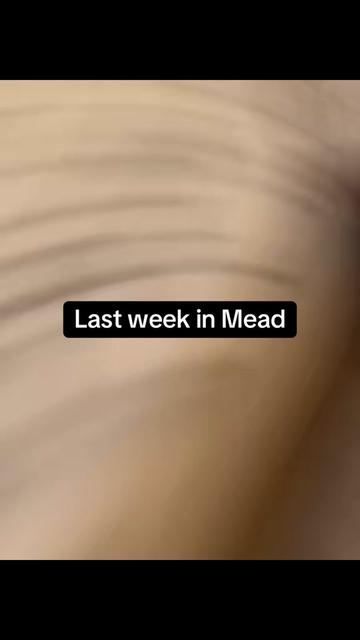 @Mead Dummy