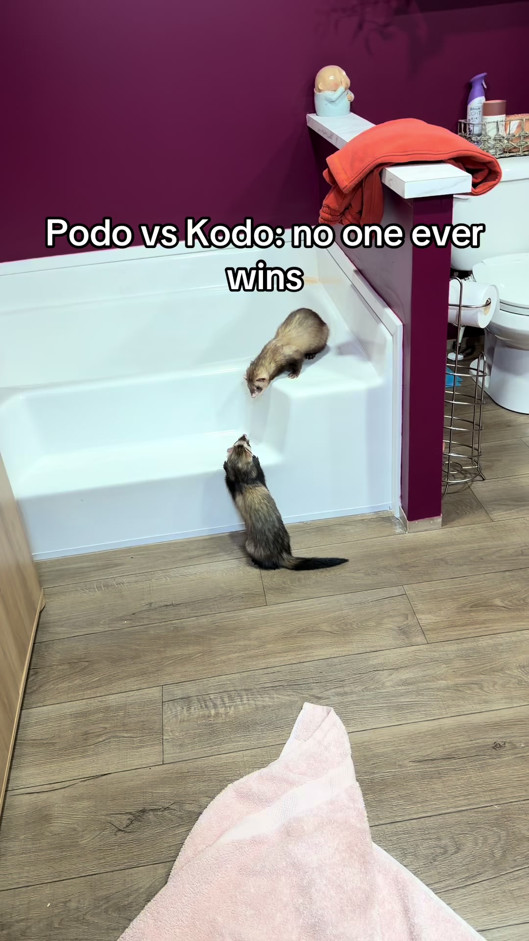 @demigodofthewindnsea