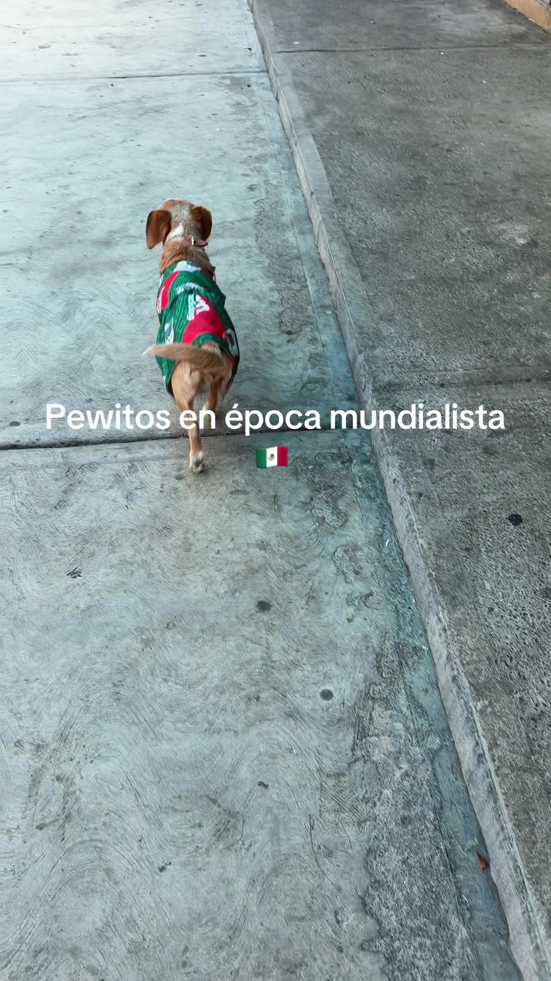 @Ana Karina