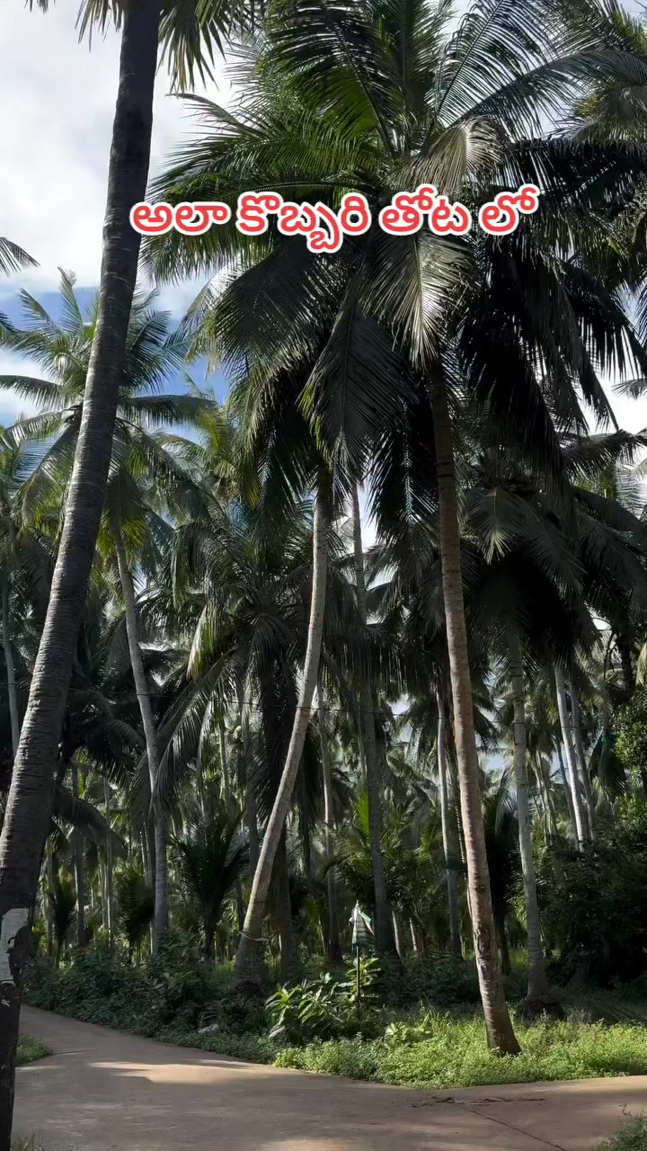 @🖤 𝓡𝓪𝓶🖤బట్టెలంక కుర్రోడు🖤