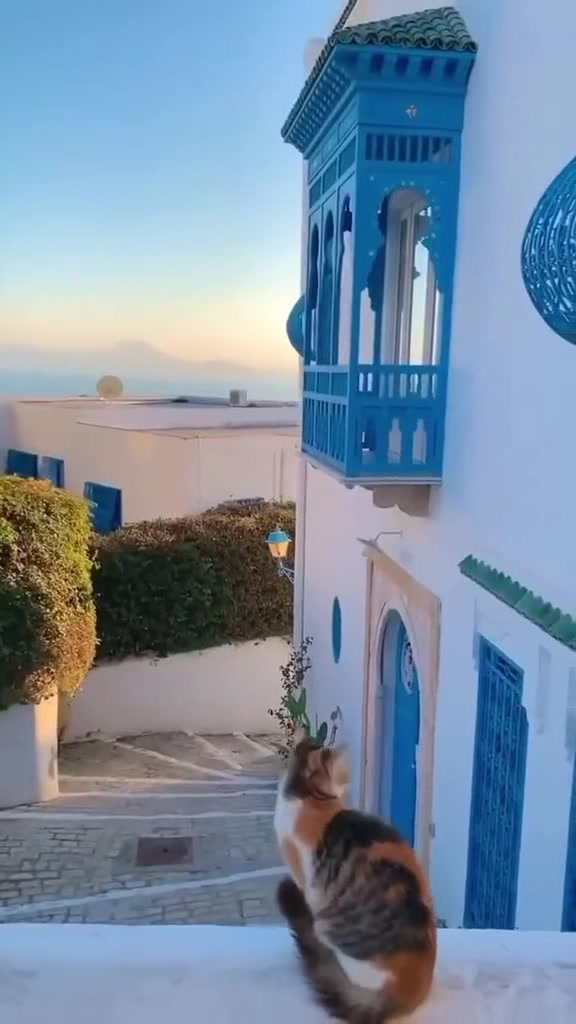 @Yldizosmanli