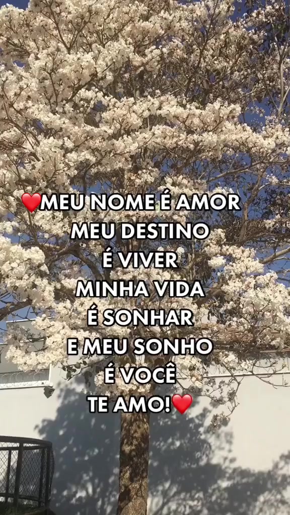 @🐺Lobo Goiano🐺