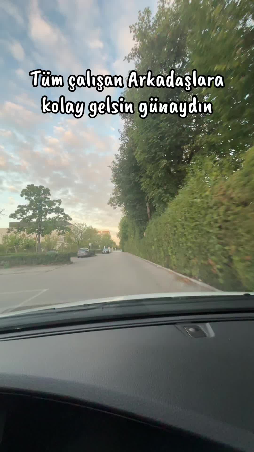 @&ldquo;AneMoN &Ccedil;i&ccedil;egi&rdquo;🌻🥀🌼🌷🌸