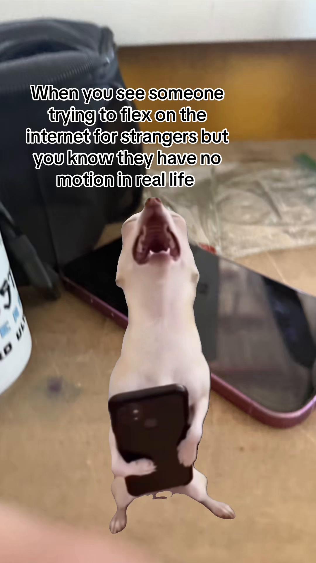 @Tee