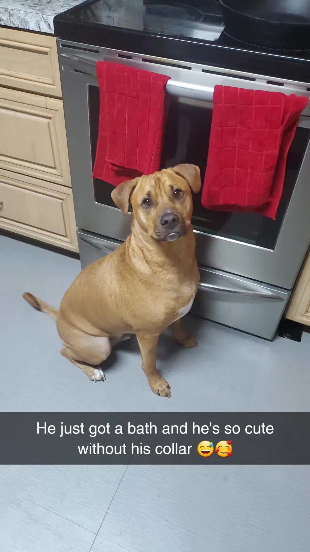 @Kane the friendliest Pit