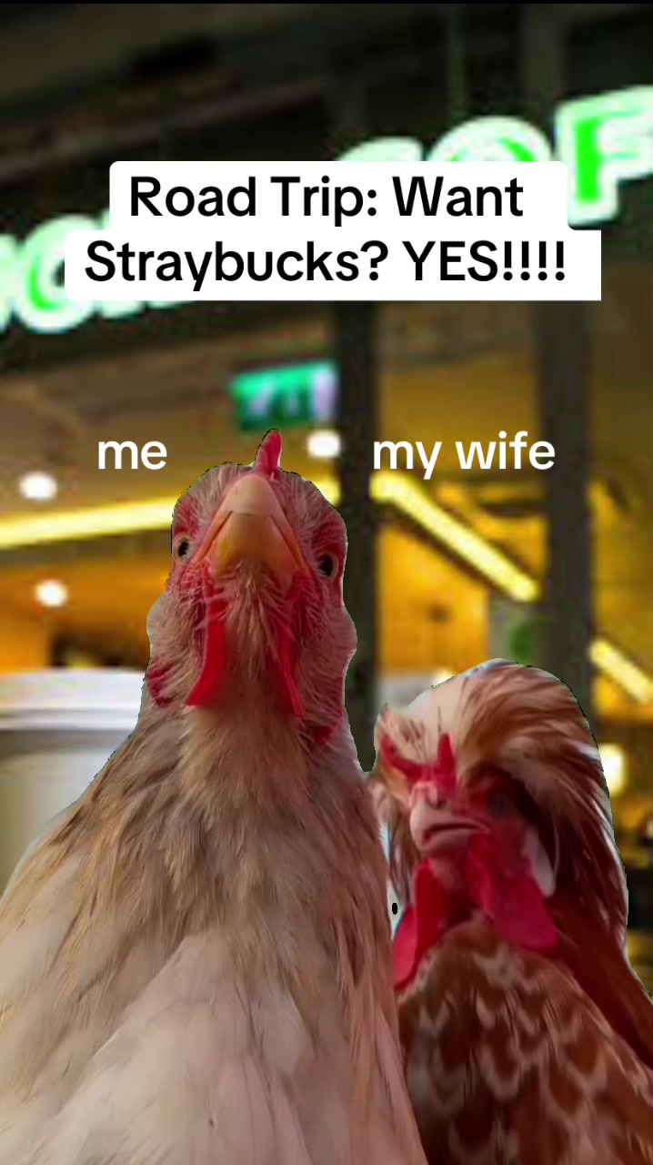 @Taylor “The Cook”