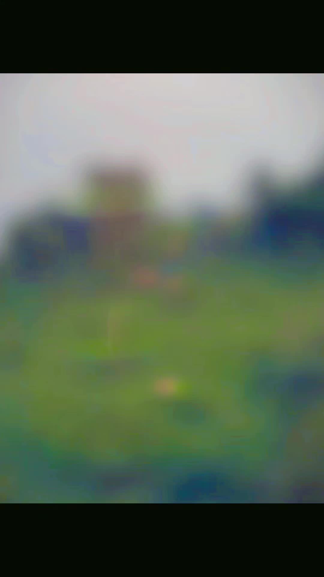 @🍀ei ei 🍀