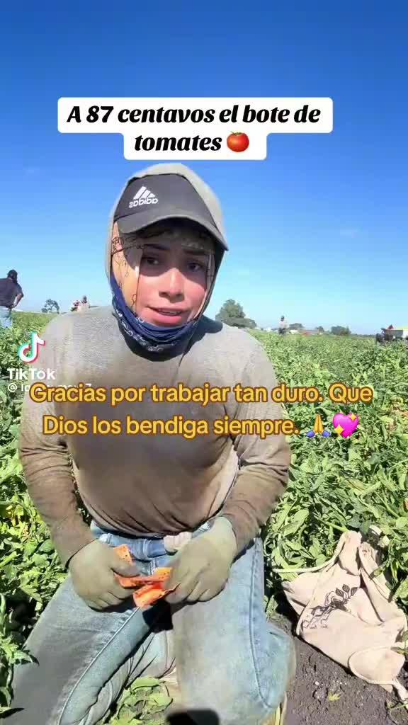 @layla