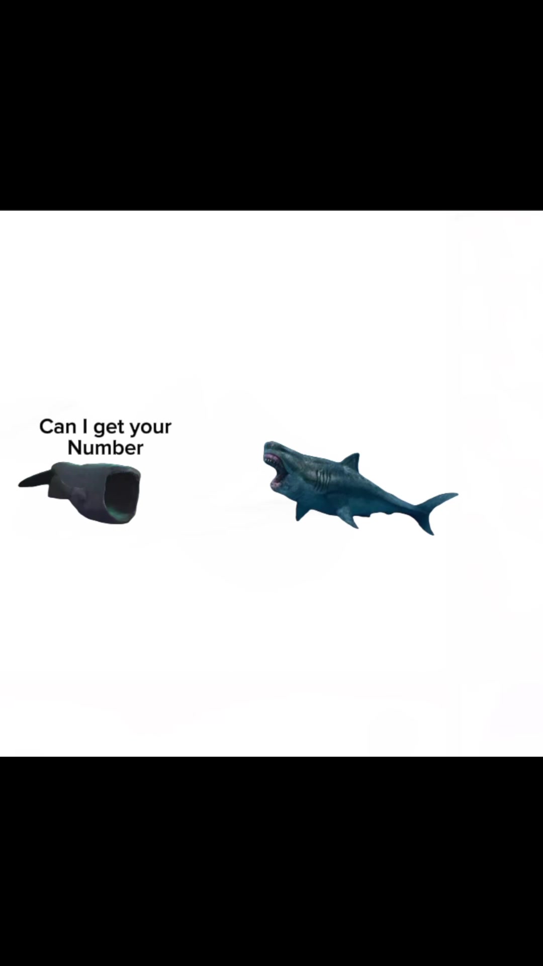 @Bloop🧑🩰