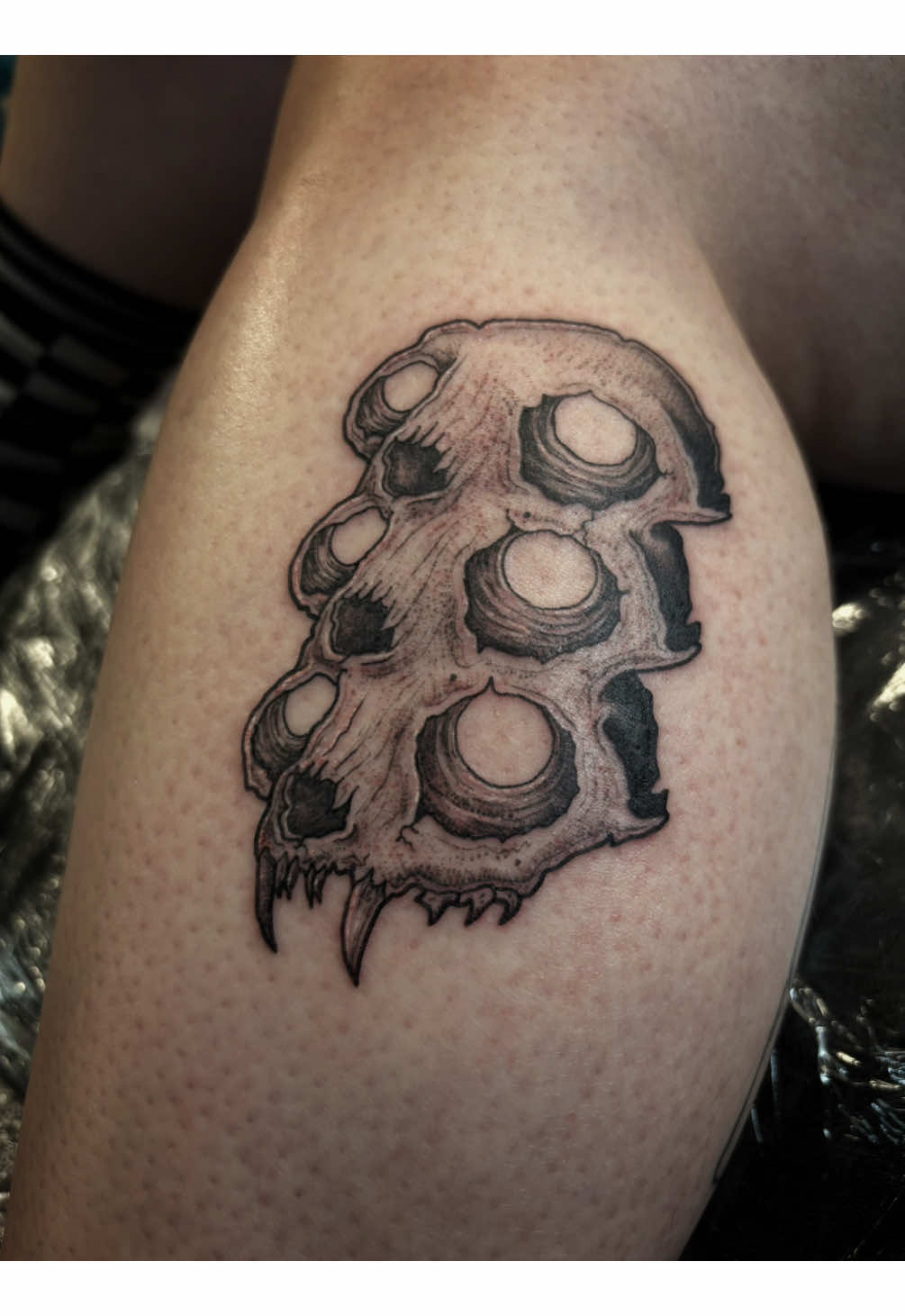 @Scorched_bones