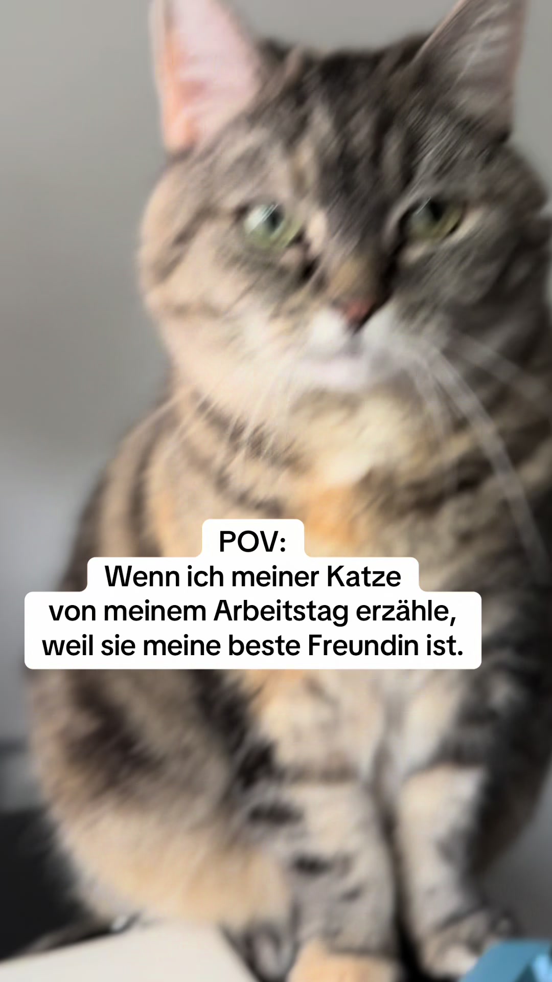 @Polly Zist