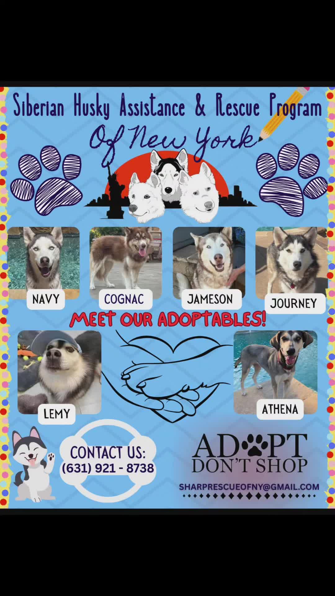 @SHARPofNY SiberianHusky Rescue