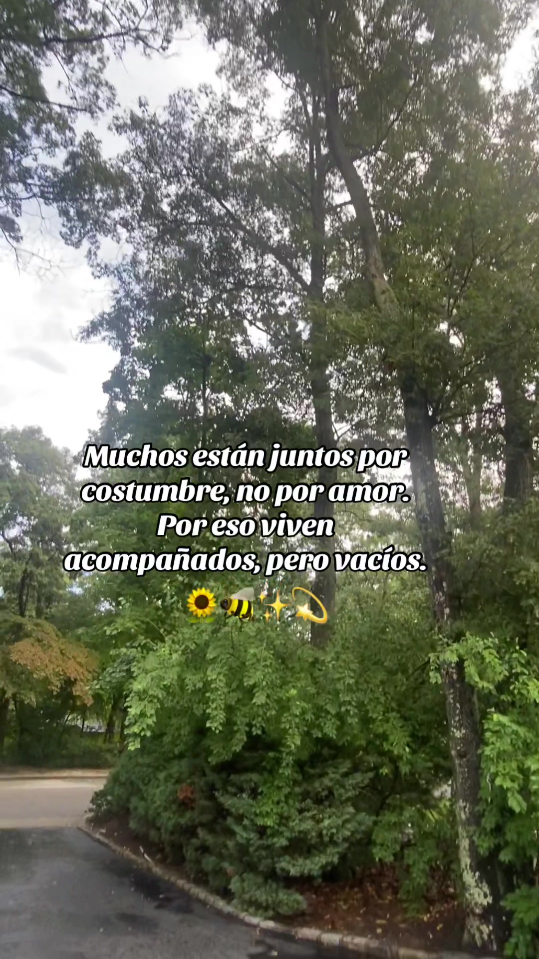 @💛Bonita_Girasol91