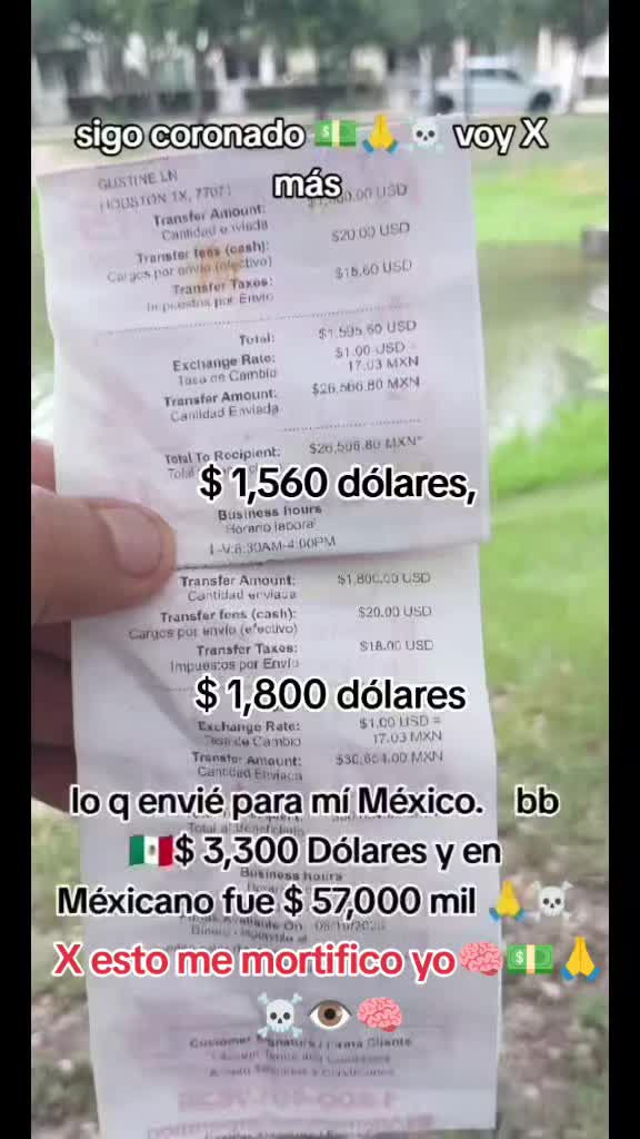 @el tigre 🐅 de Houston