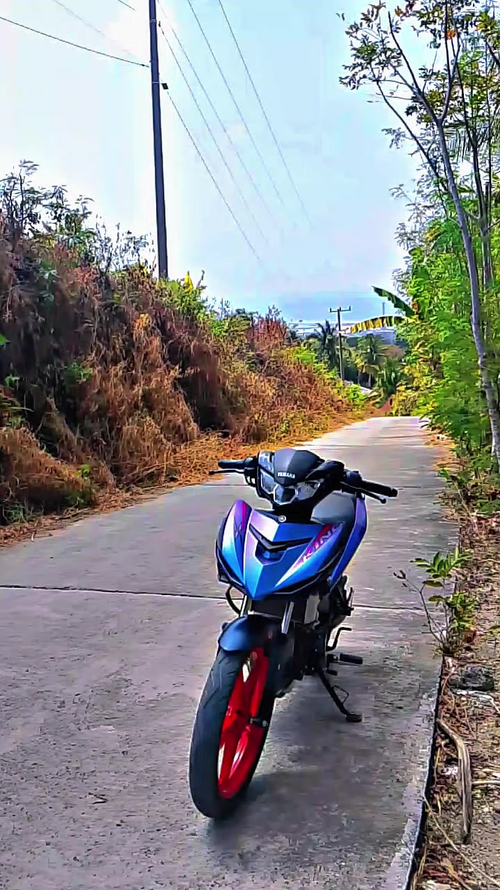 @Mx bocil🚀