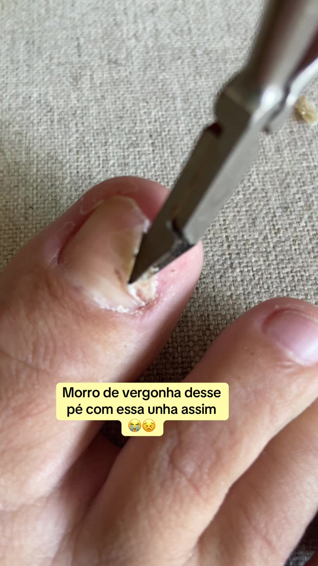 @Carolinaindica