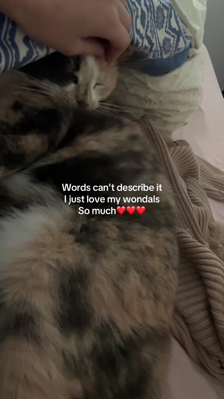 @𝓢𝓪𝓿🦭