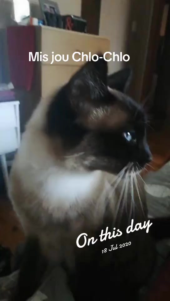 @🐰Nella-444🐰