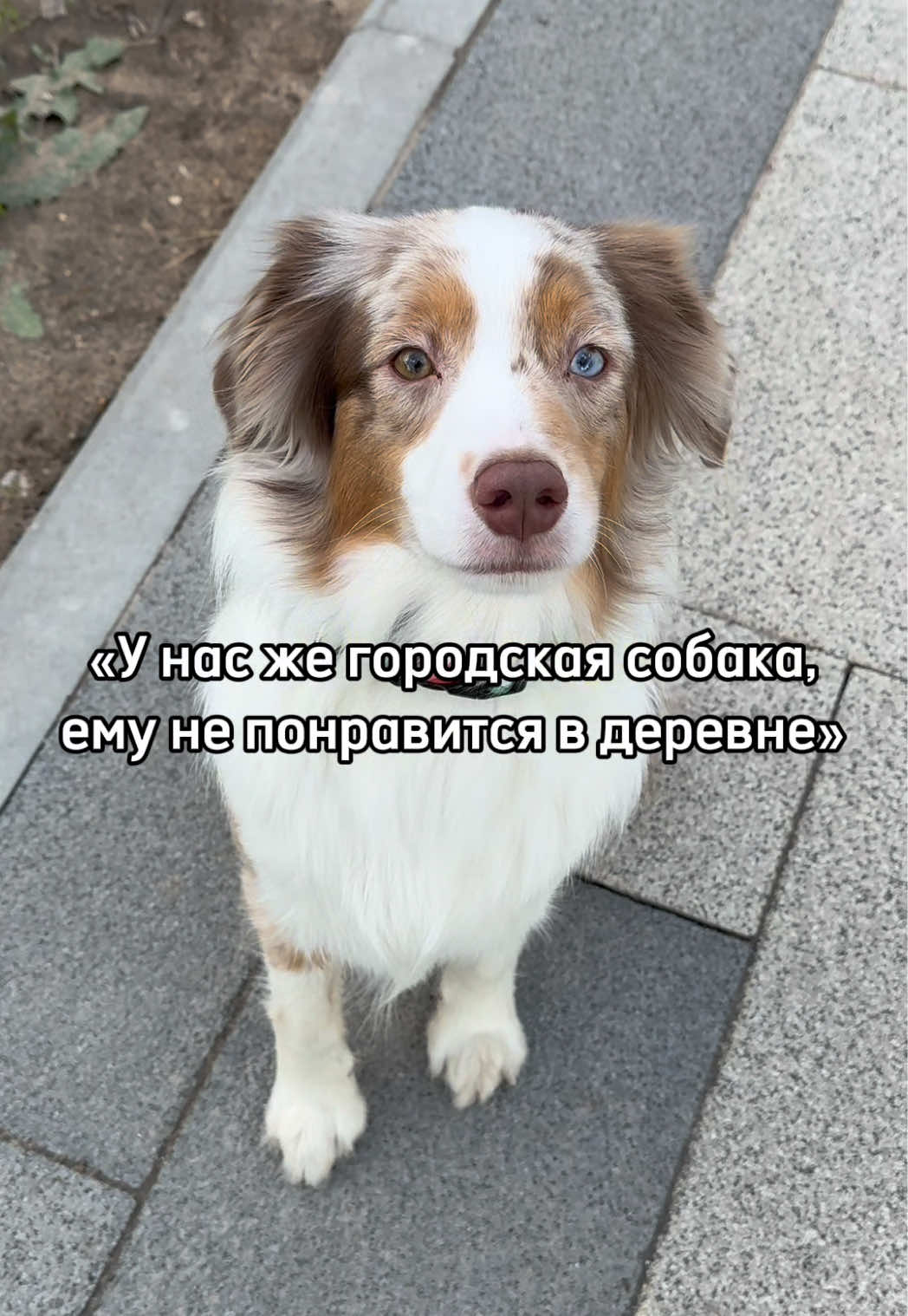 @𝚃𝚠𝚒𝚡