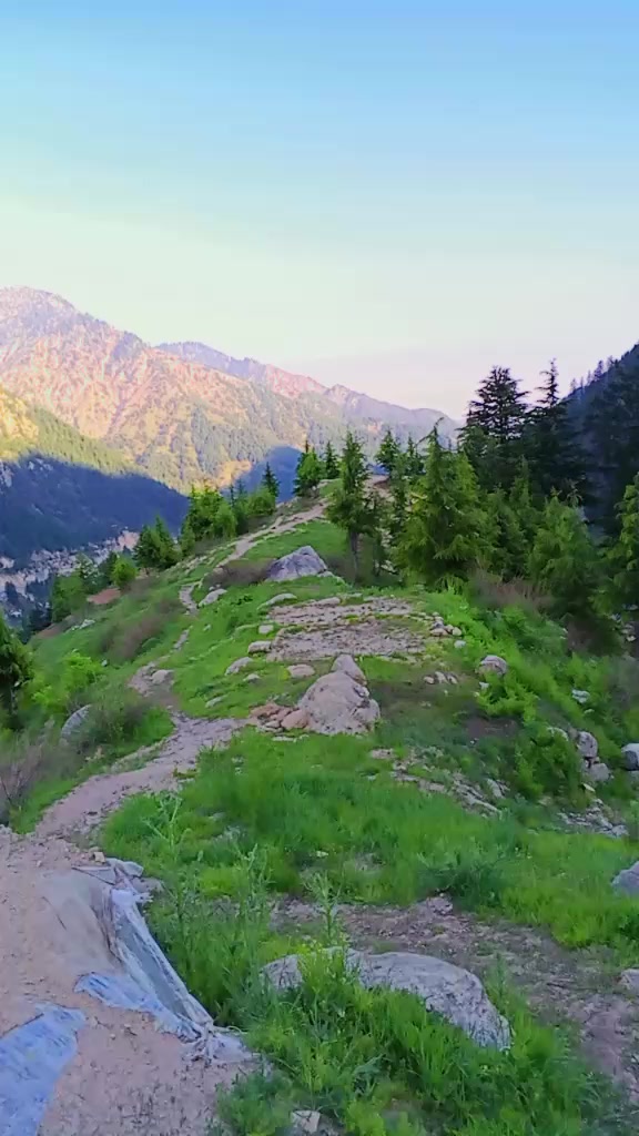 @uzairkhan1383