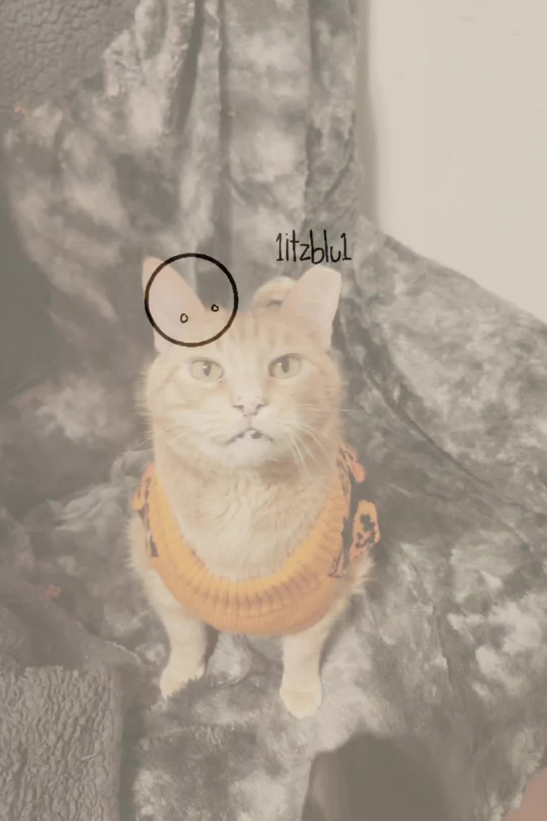 @kat