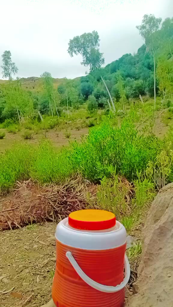 @🇦🇫꧁༺ӄɦǟաǟɢǟ ʐǟʀ༻꧂🇦🇫