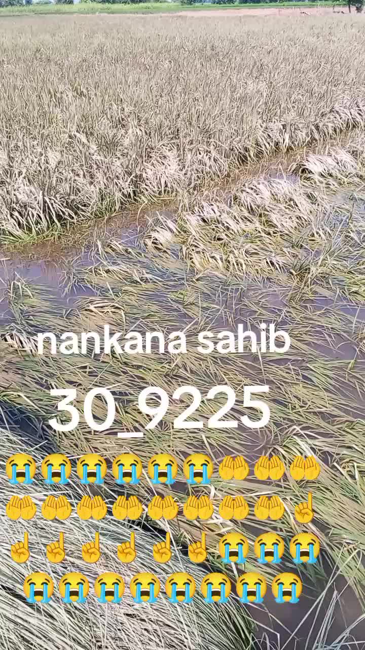 @Sabar Ali