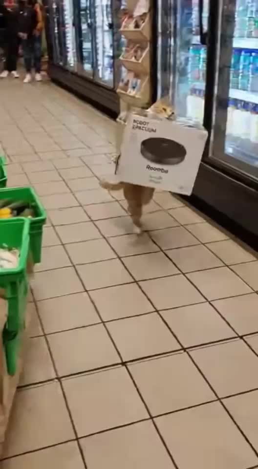 @Animal Stories