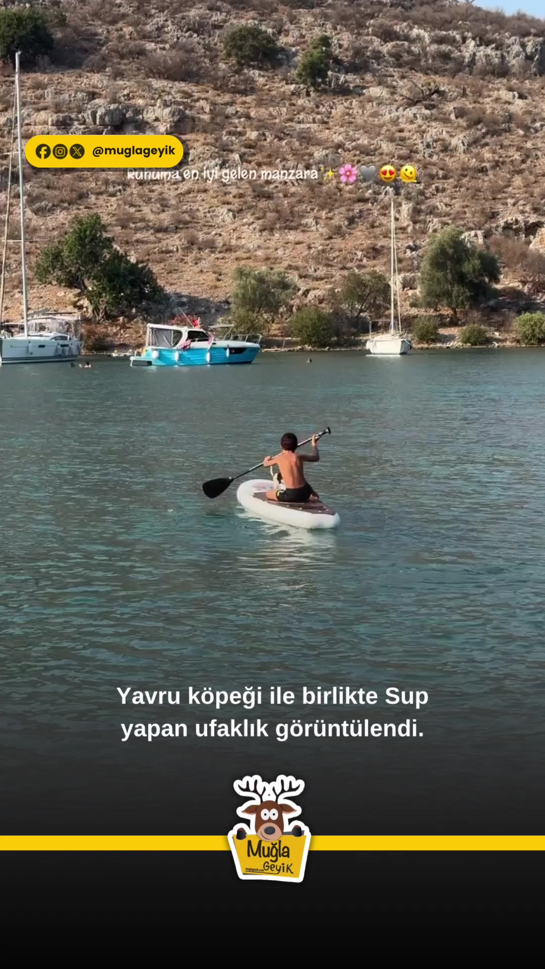@Muğla Geyik