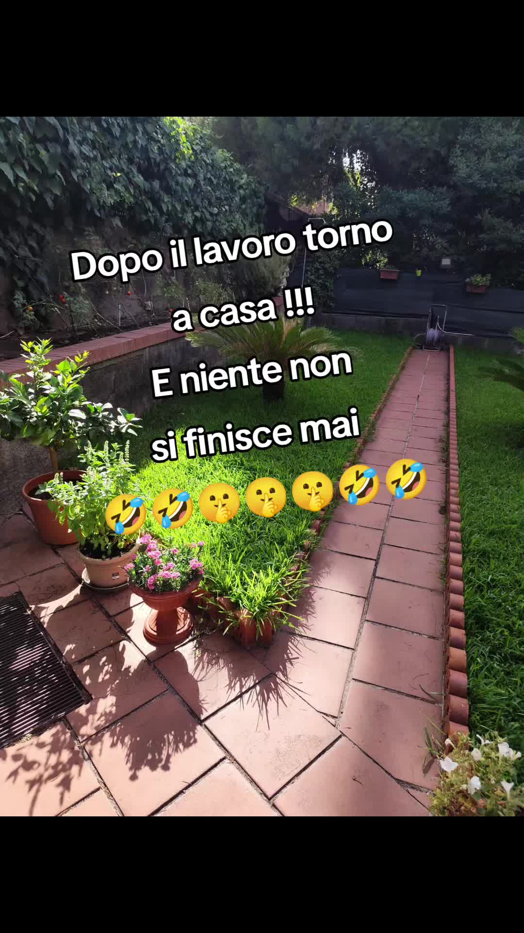 @❤️💙Walter 🤣 letizia ❤️💙