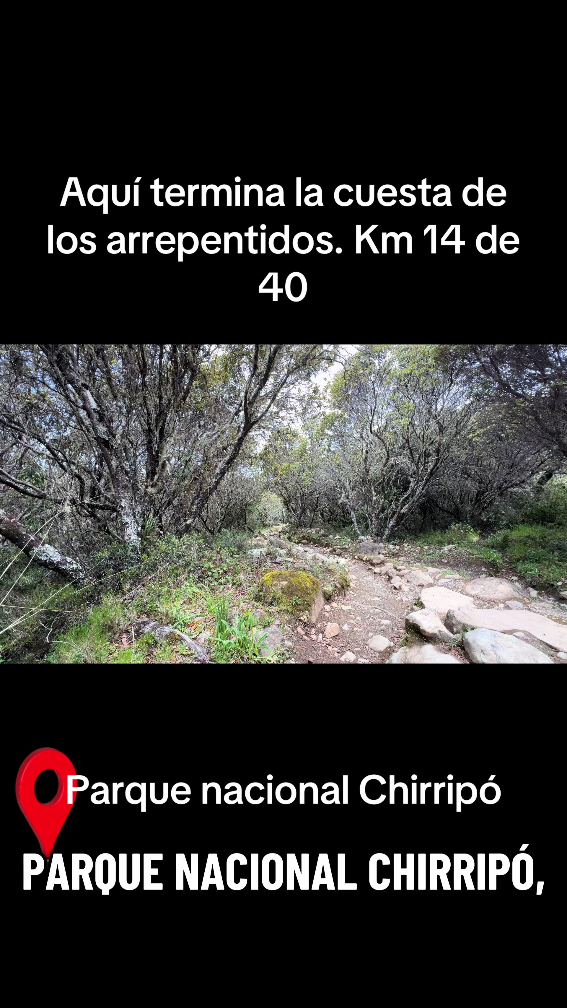 @Oxigenia Costa Rica Tours