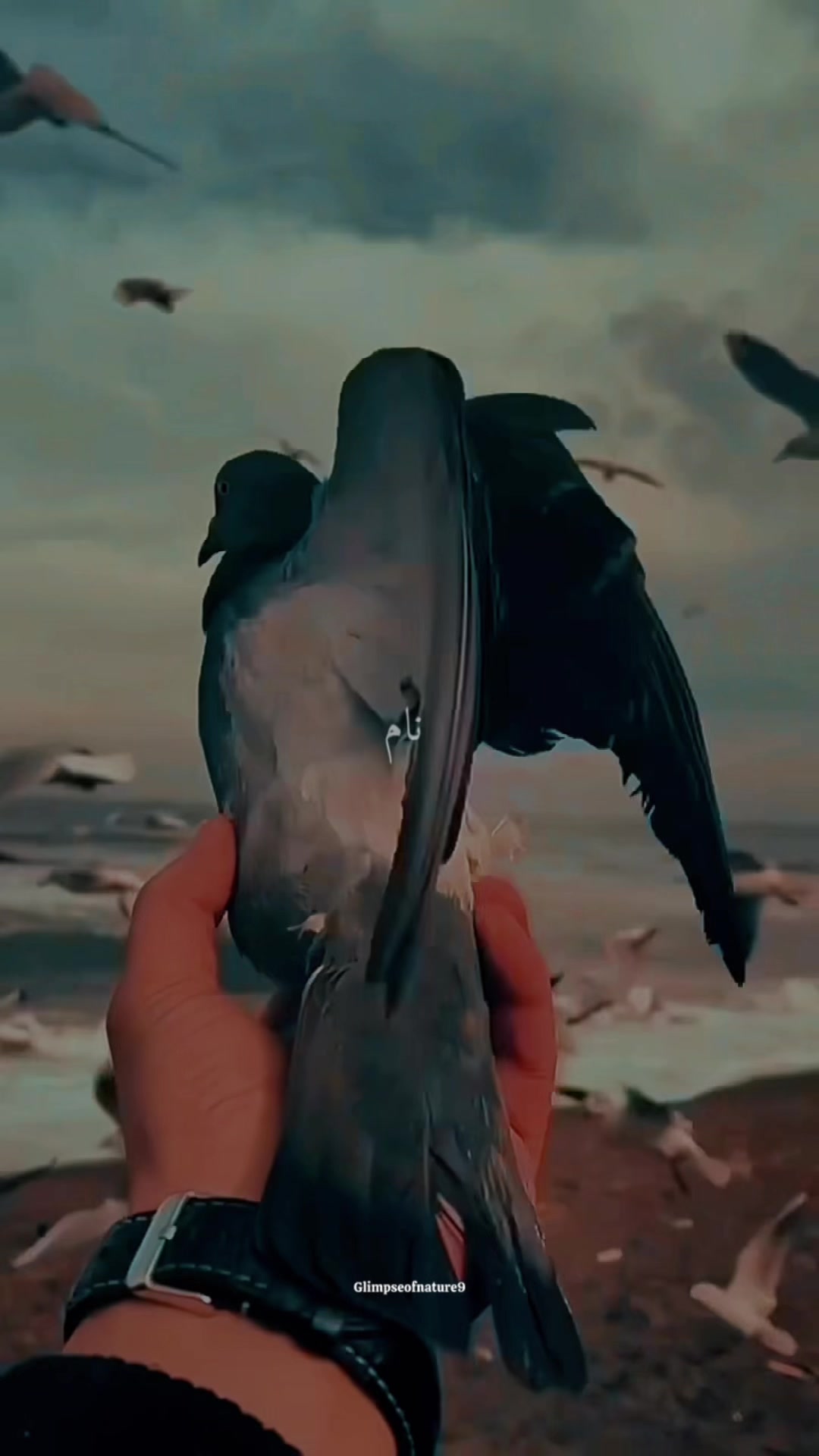 @𝔸𝕟𝟝𝟙𝕣