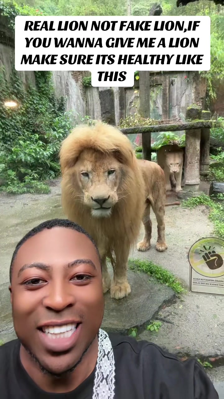@Rei🇨🇦🇺🇸🇨🇲(RRE)🦅