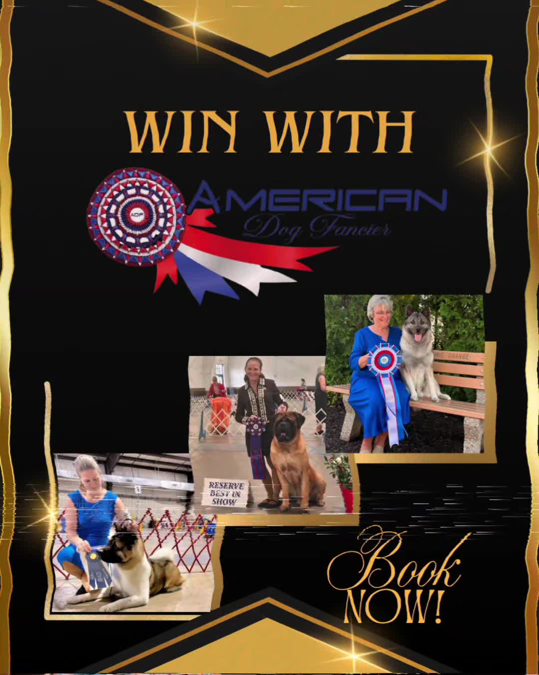 @American Dog Fancier