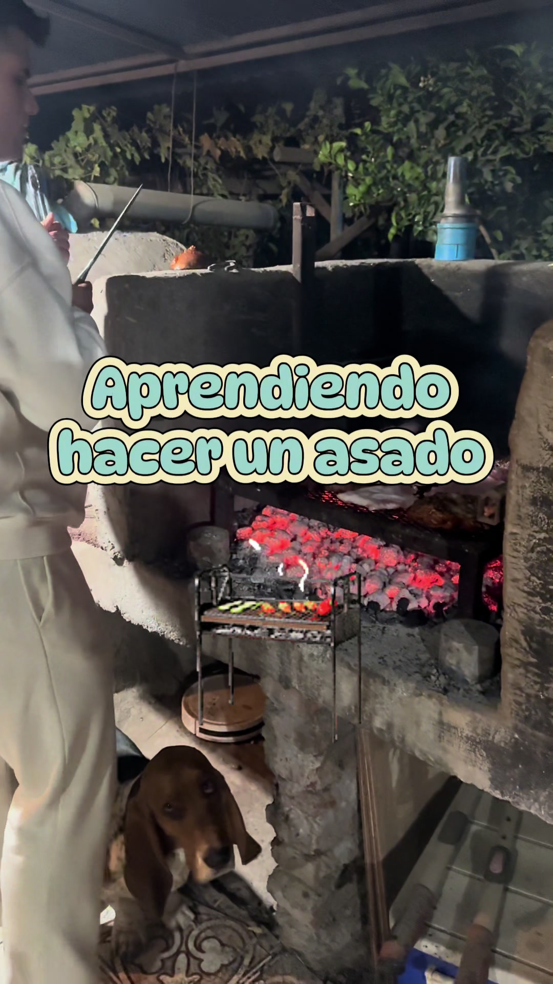 @DEMALEX