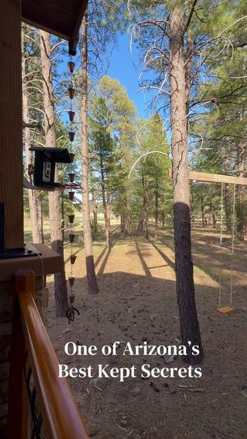 @Flagstaff REALTOR®️ Sonia 🏡