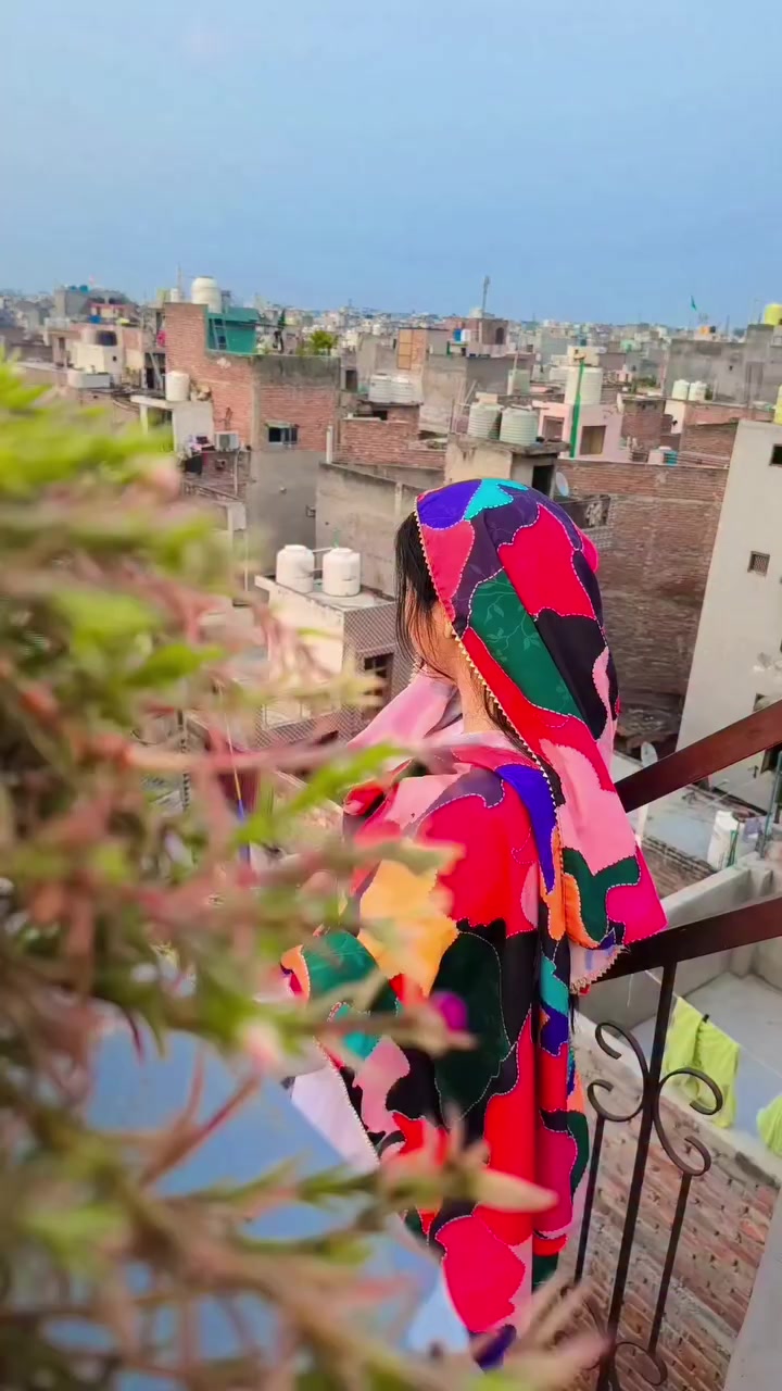 @Zeenat Ansari زینت انصا ری