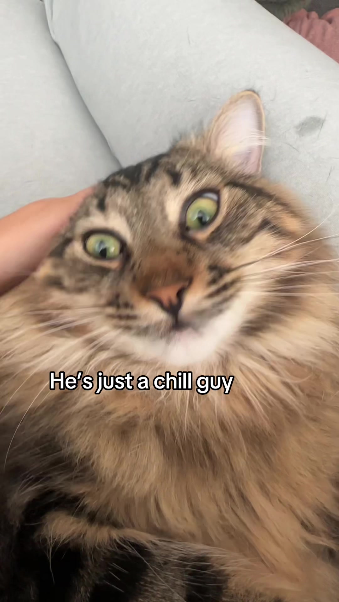 @Boop