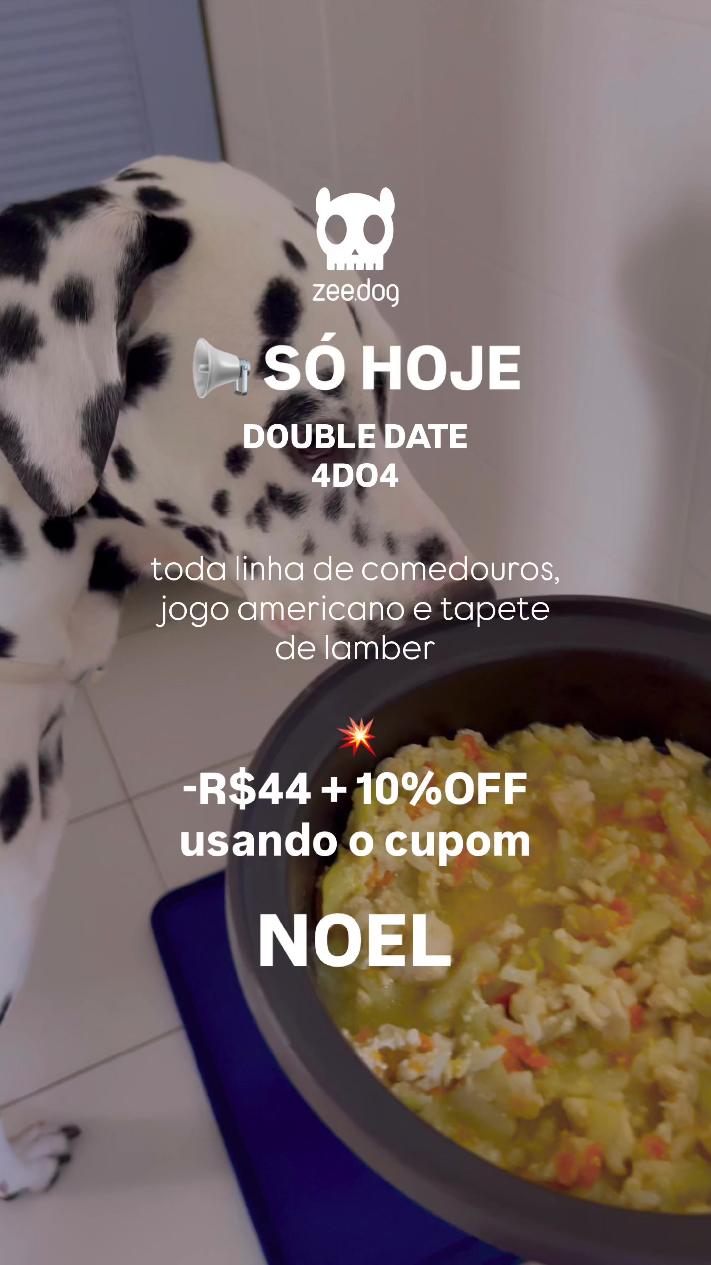 @&bull; Noel &bull;