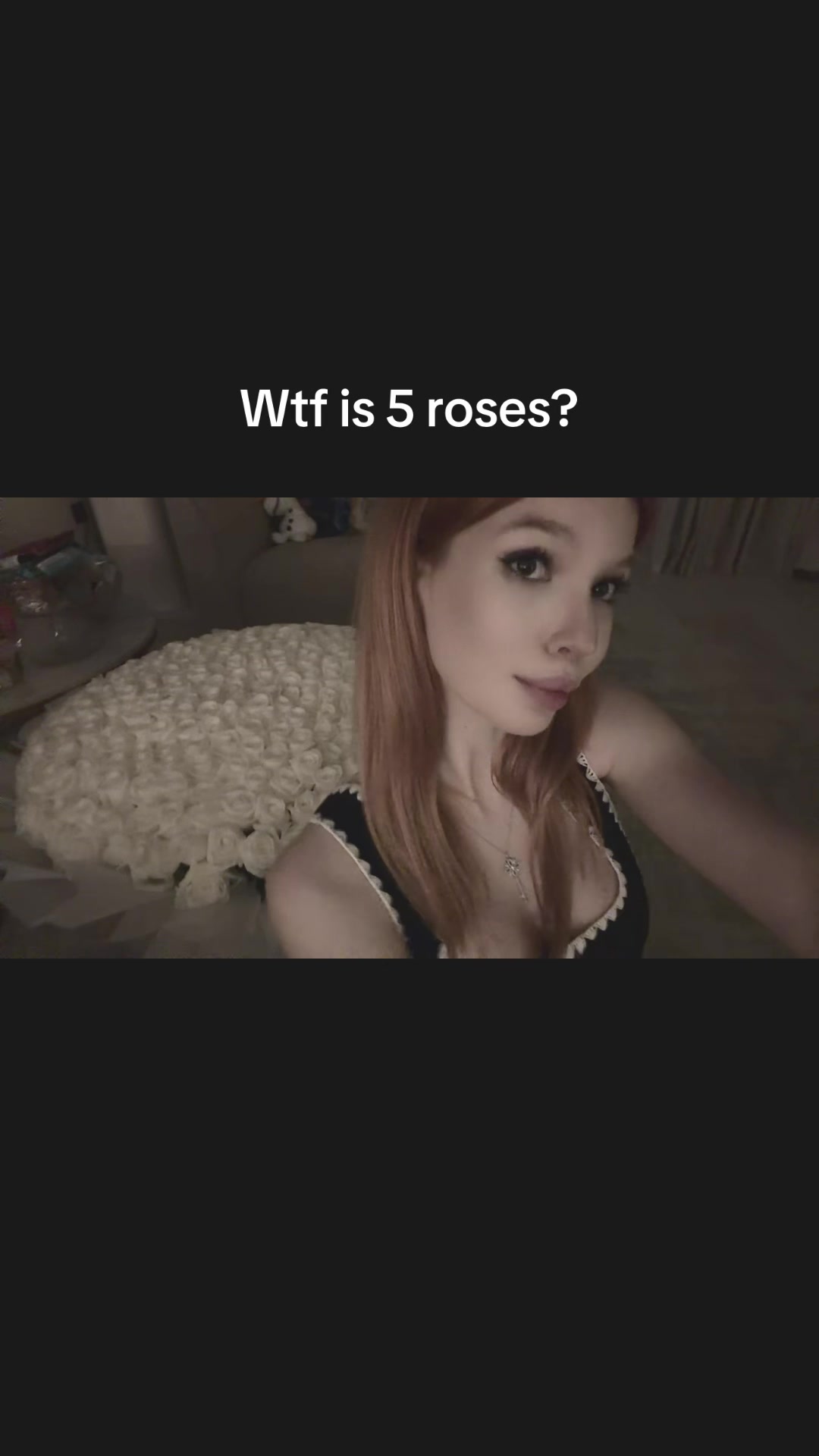 @di.dremliugaa