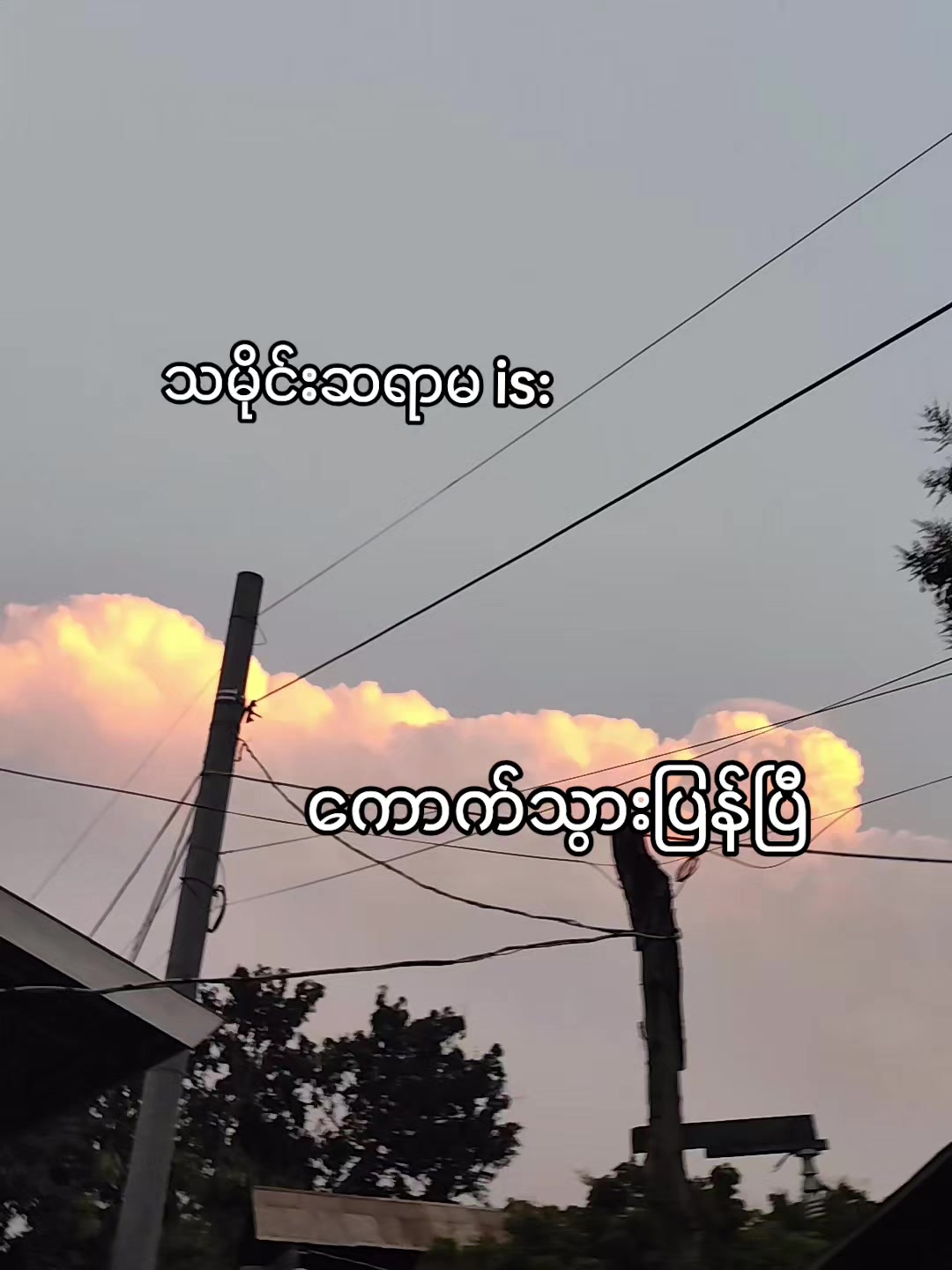 @𝕪𐙚🪼